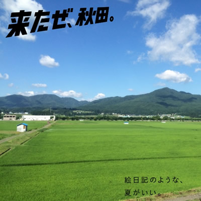 くじら餅スティック