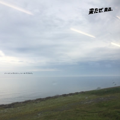 くじら餅スティック