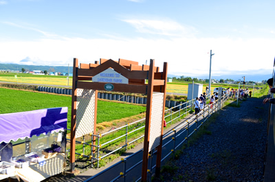 ラベンダー畑駅