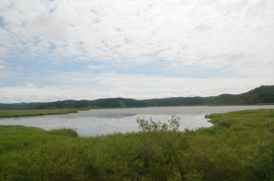 釧路湿原